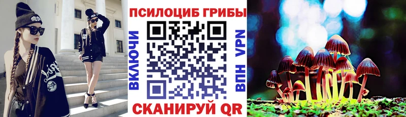 Псилоцибиновые грибы GOLDEN TEACHER Кирс