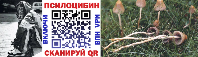 Галлюциногенные грибы прущие грибы Кирс